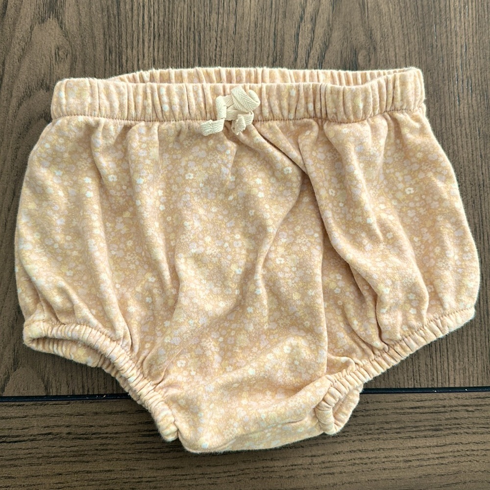 Jamie Kay bloomer 3yrs